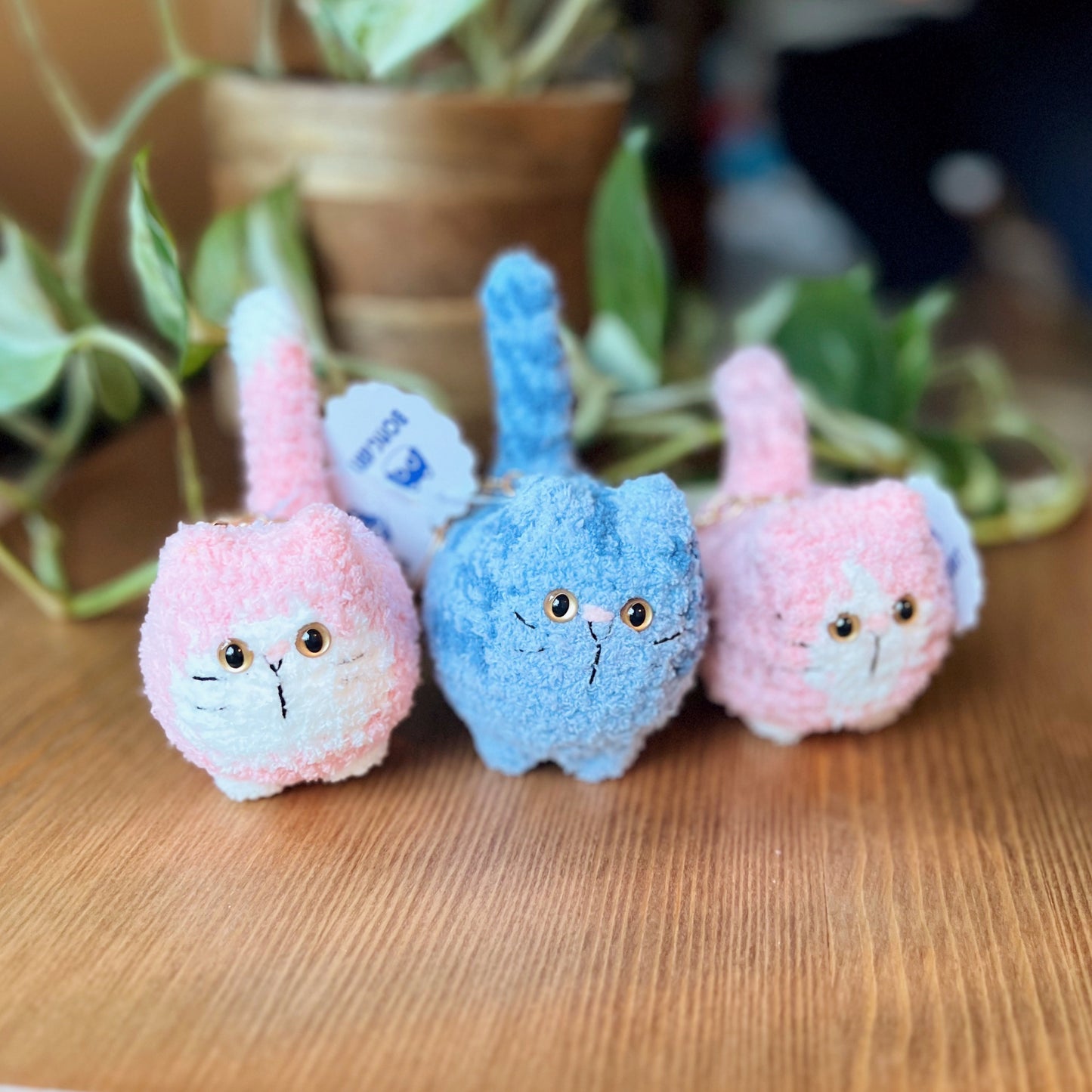 Dreamy Cat - Limited Edition Ver 01 - Amigurumi