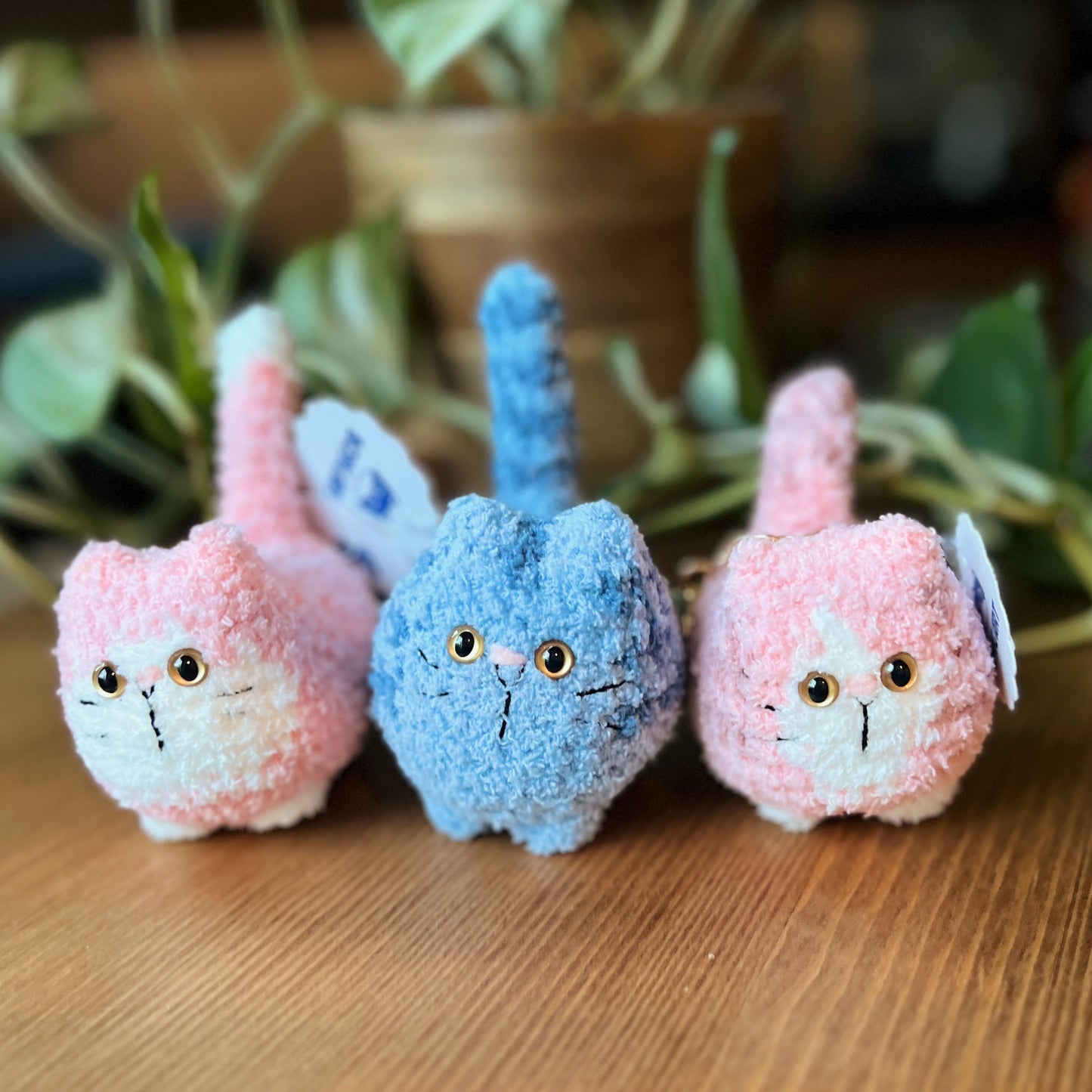 Dreamy Cat - Limited Edition Ver 01 - Amigurumi