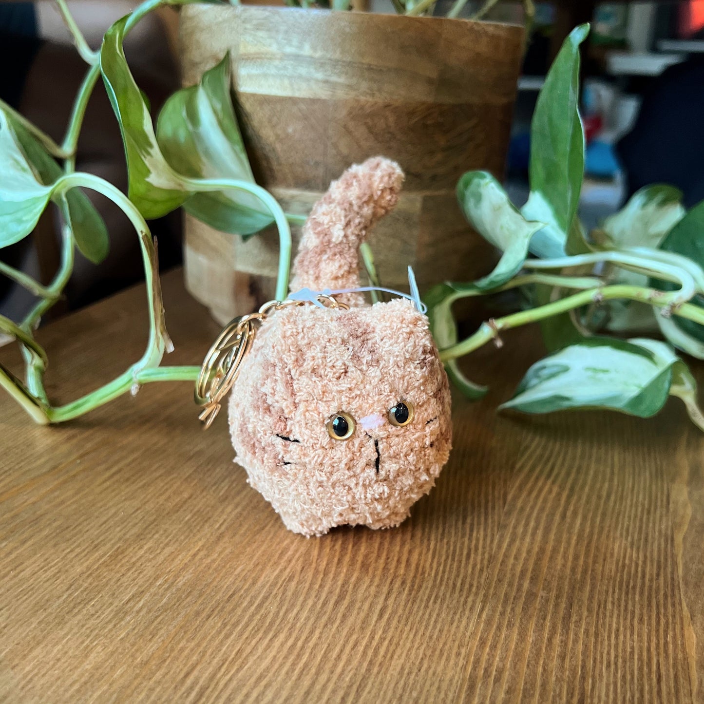 Dreamy Cat - Limited Edition Ver 01 - Amigurumi