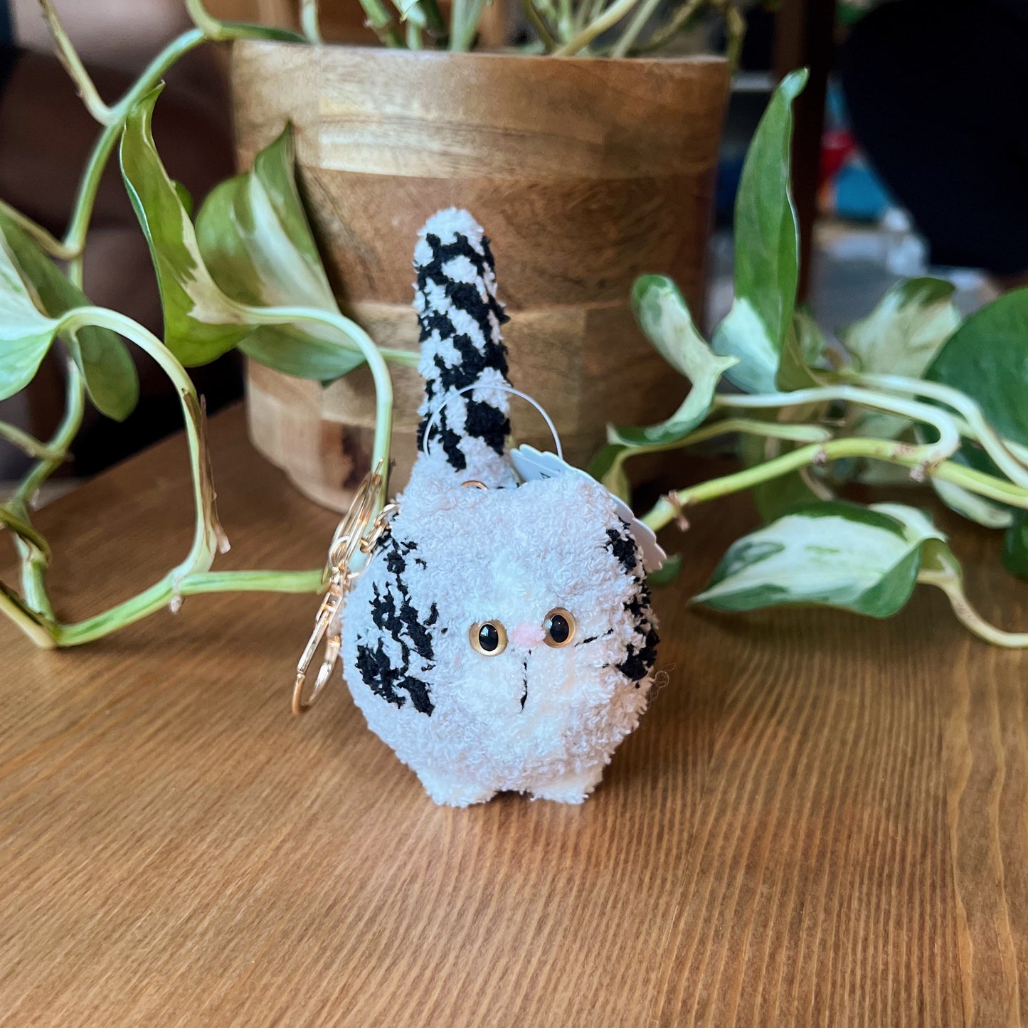 Dreamy Cat - Limited Edition Ver 01 - Amigurumi