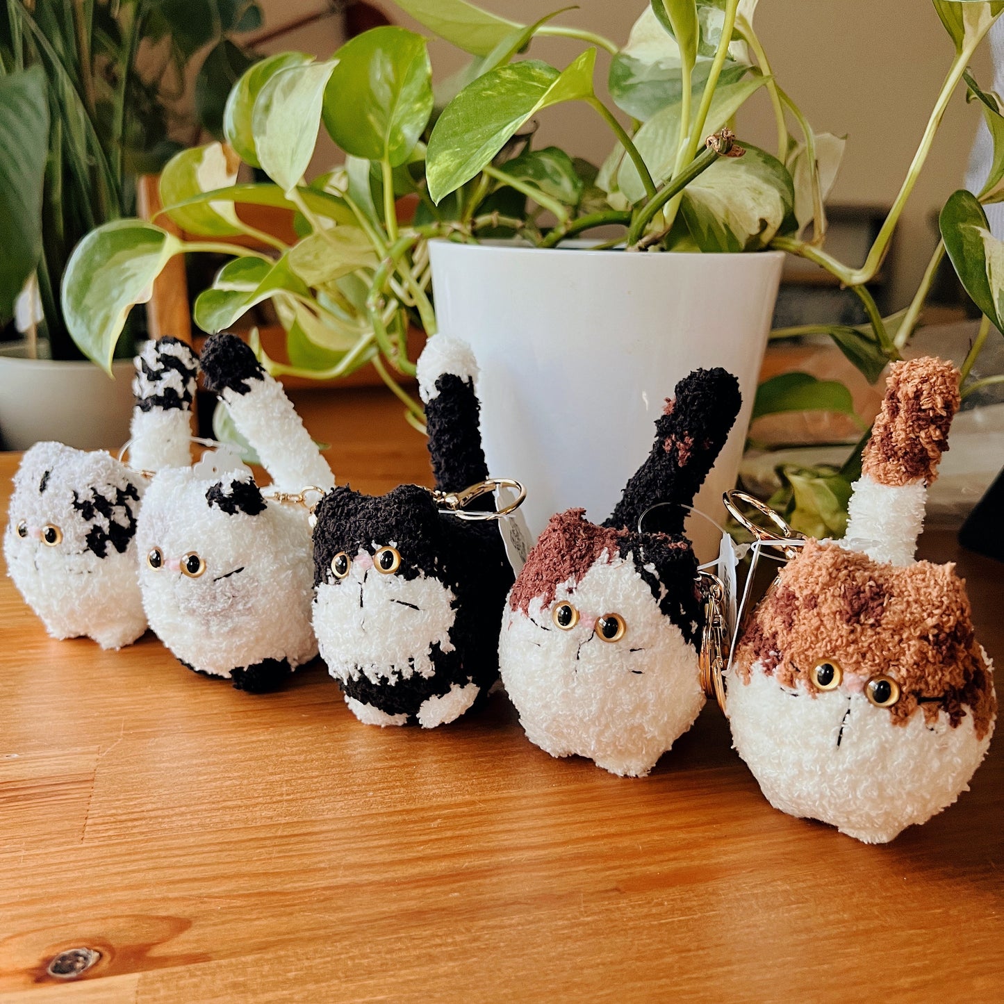Dreamy Cat - Limited Edition Ver 02 - Amigurumi
