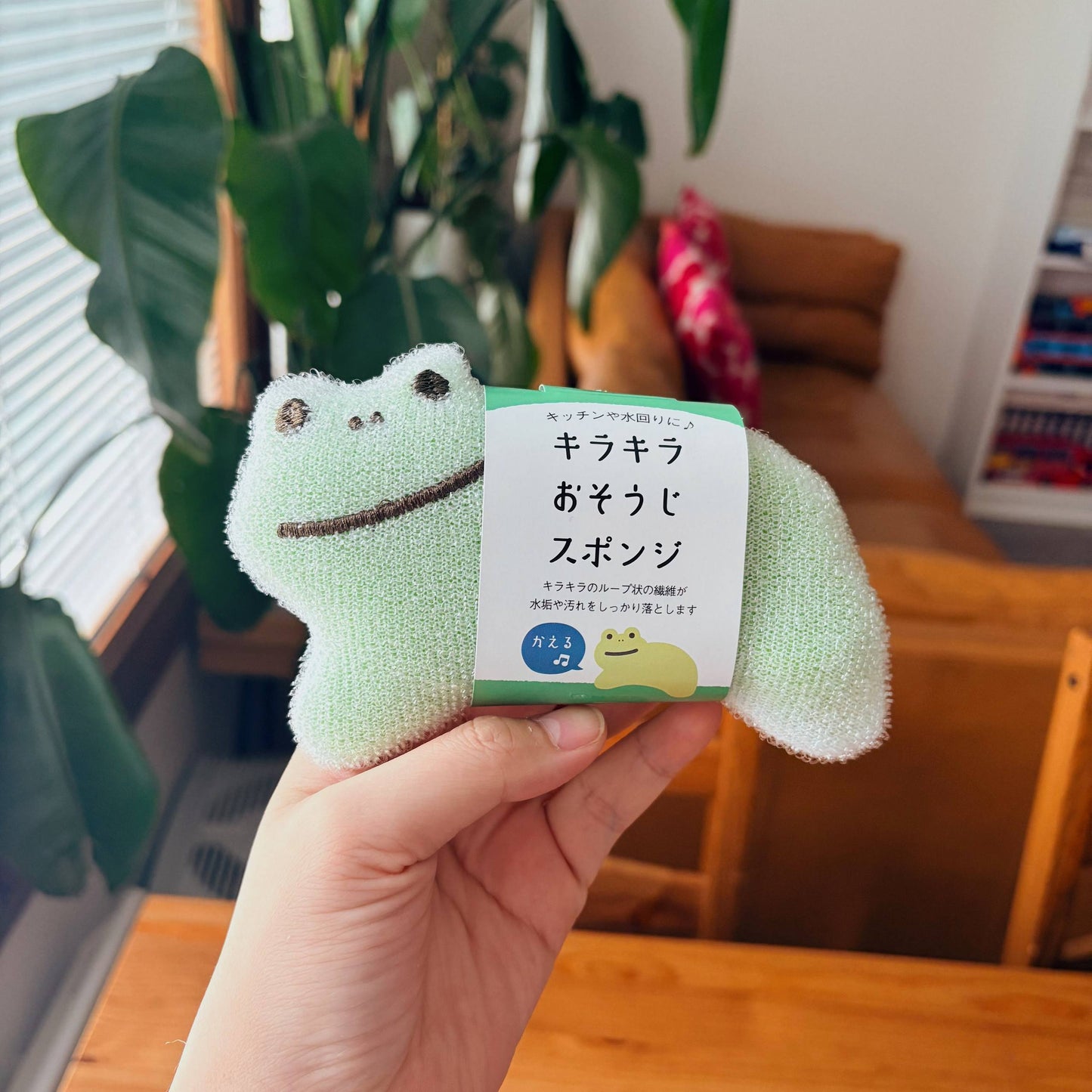 Cute Sparkling Frog Kitchen Sponge