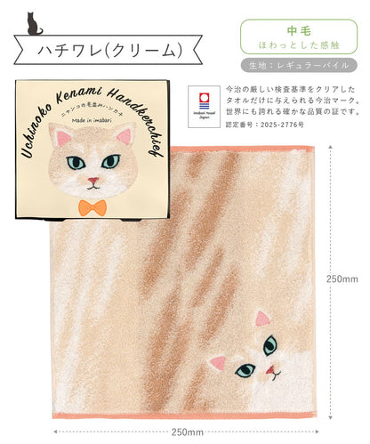 Uchinoko Mate Kitty Series - Imabari Towel, Japan