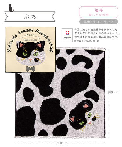 Uchinoko Mate Kitty Series - Imabari Towel, Japan