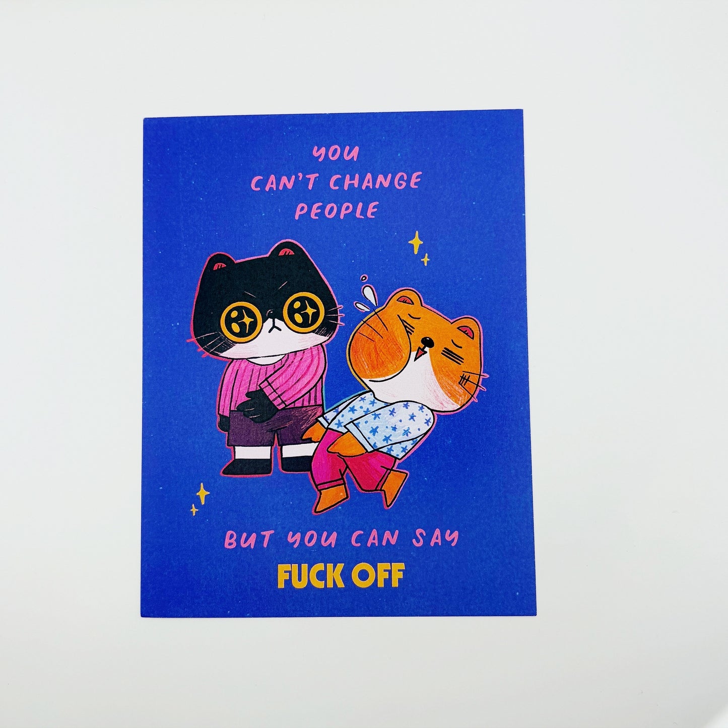 You Can't Change People Postcard