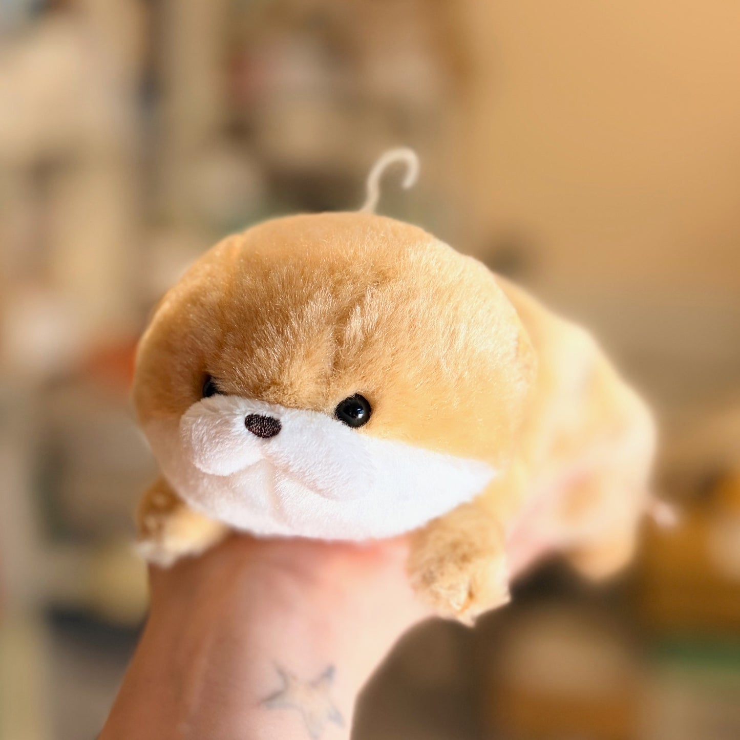 Kawauso Usoyan Pencil Case