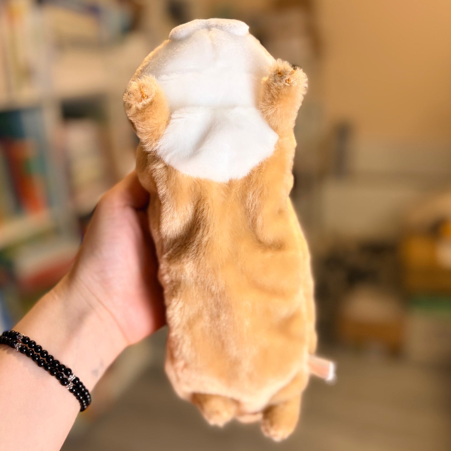 Kawauso Usoyan Pencil Case