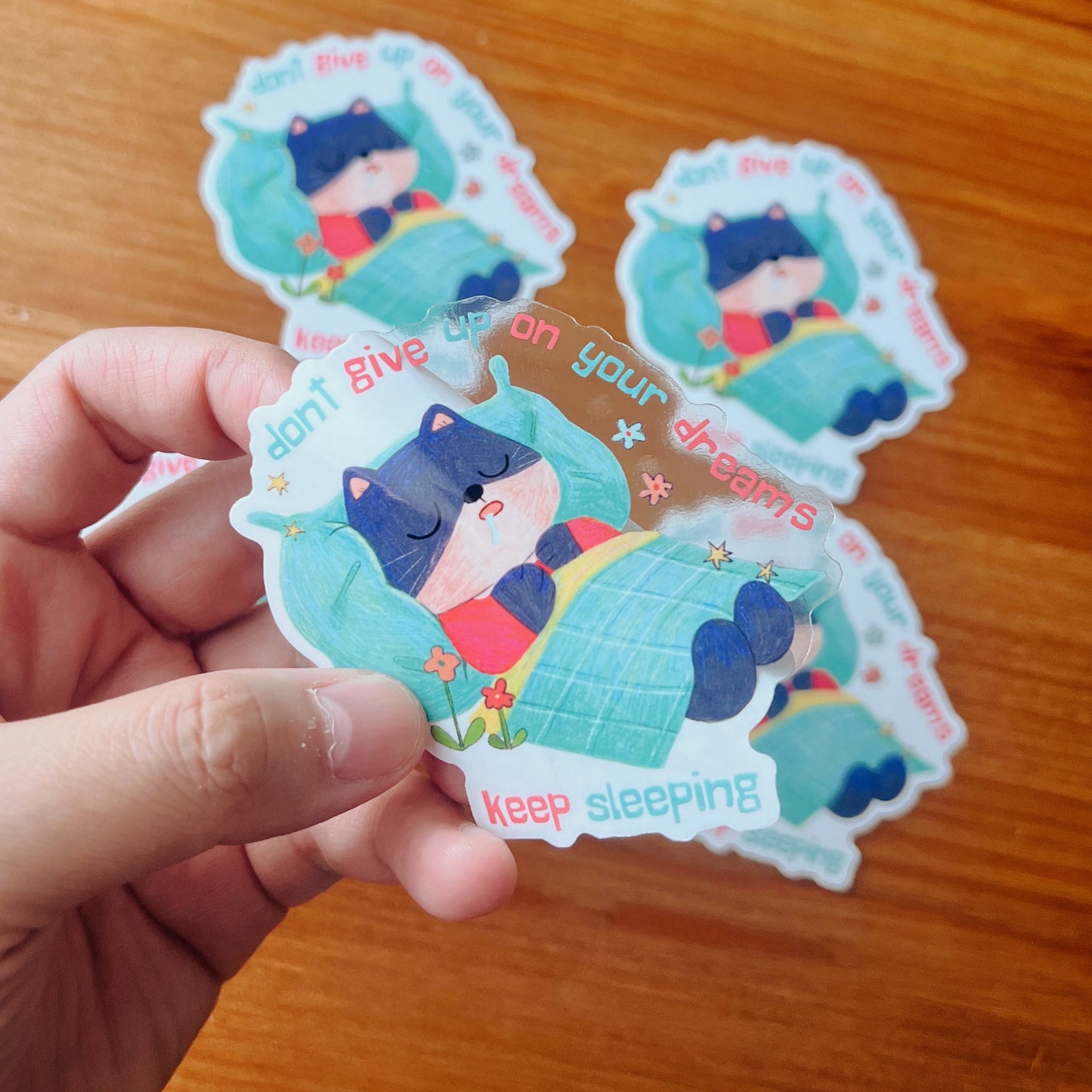 Dont Give Up On Your Dreams | Waterproof Clear Sticker