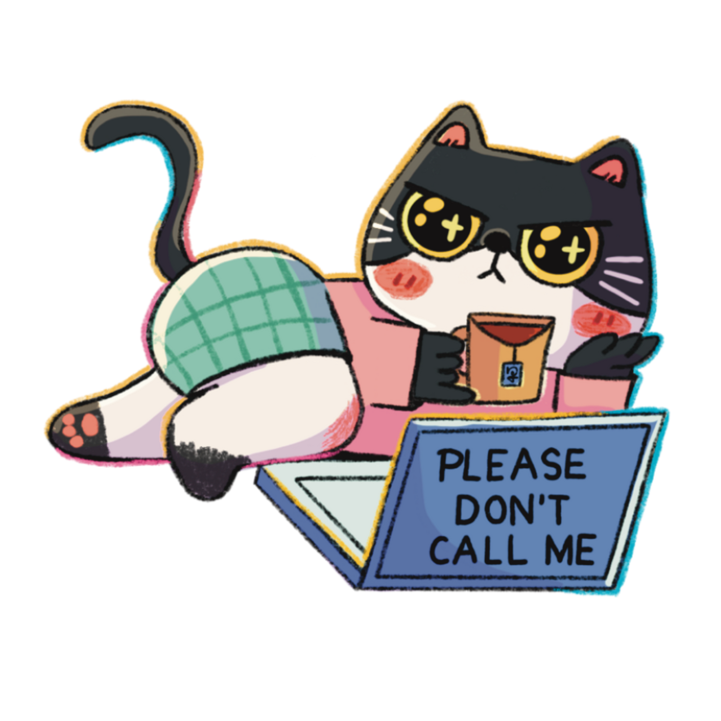 Please Don't Call Me | Waterproof Clear Sticker