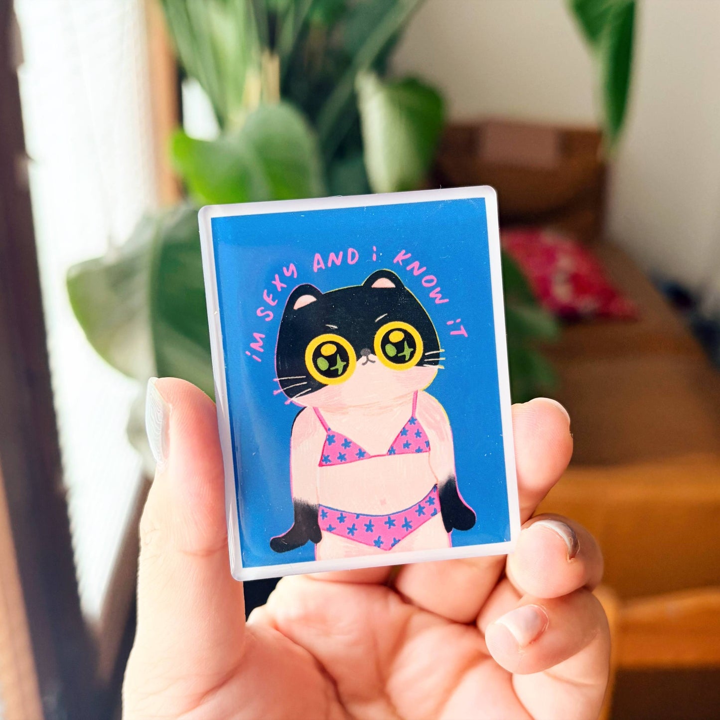 Im Sexy And I Know It | Clear Acrylic Fridge Magnets