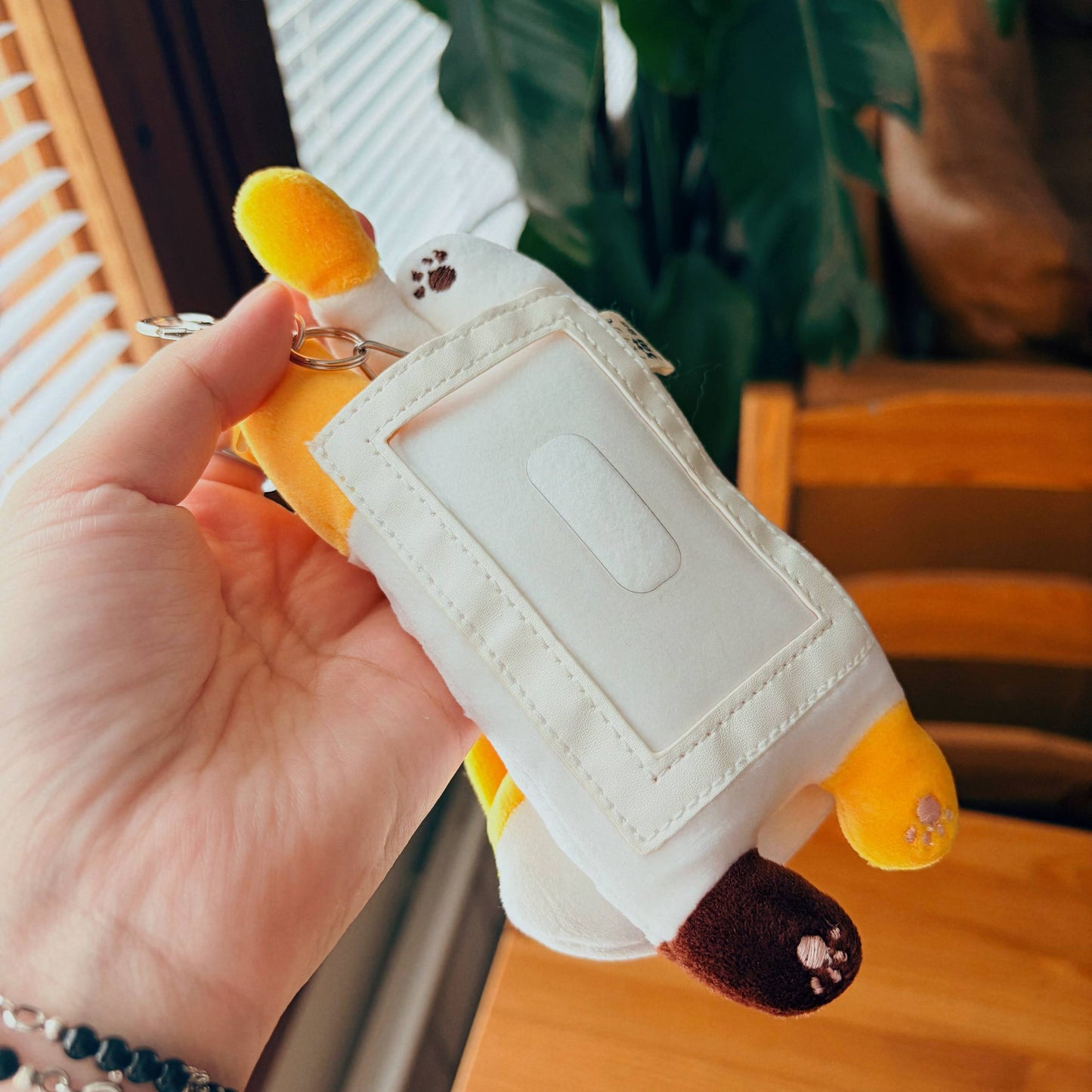 Pass Holder - Cute Cat Japan