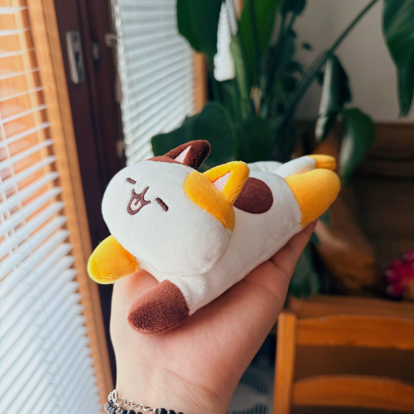 Pass Holder - Cute Cat Japan