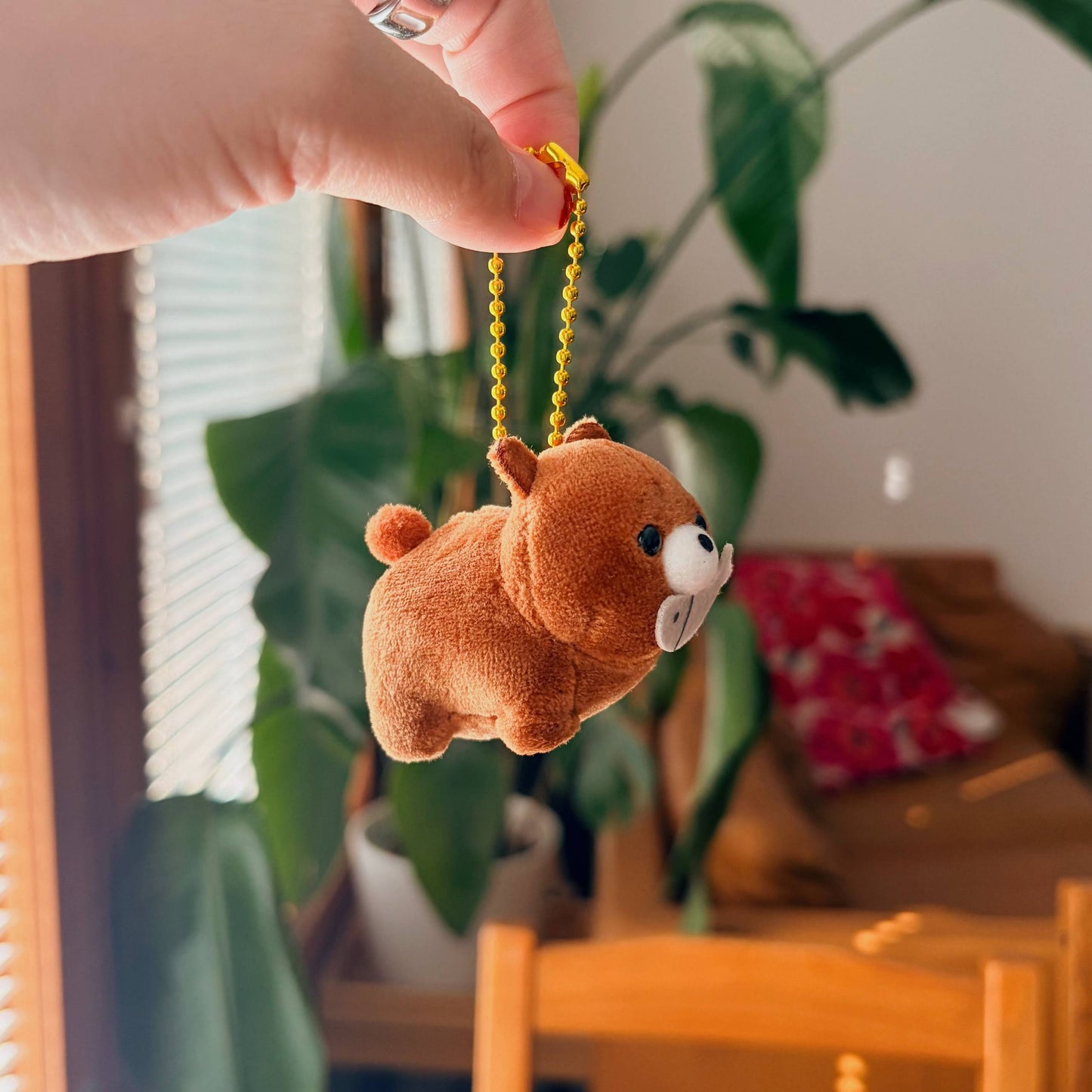 Marukuma Bear Japan - Plushie